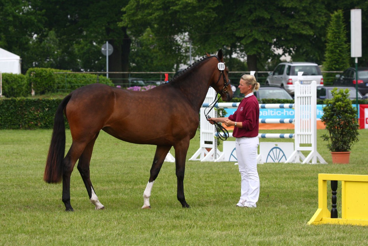 Bild 159 - Elmshorn am 9.6.10